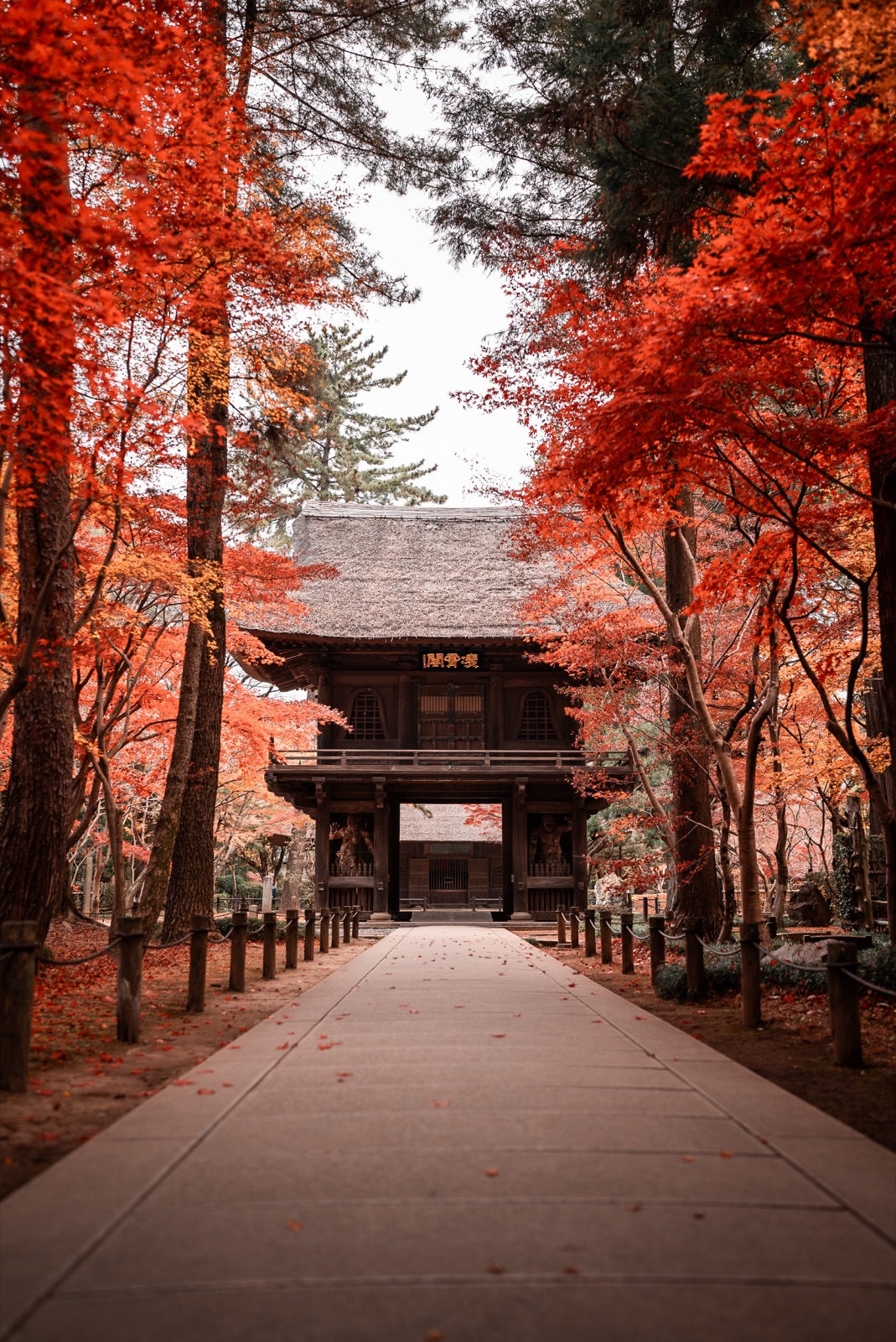 平林寺 — 寺社写真